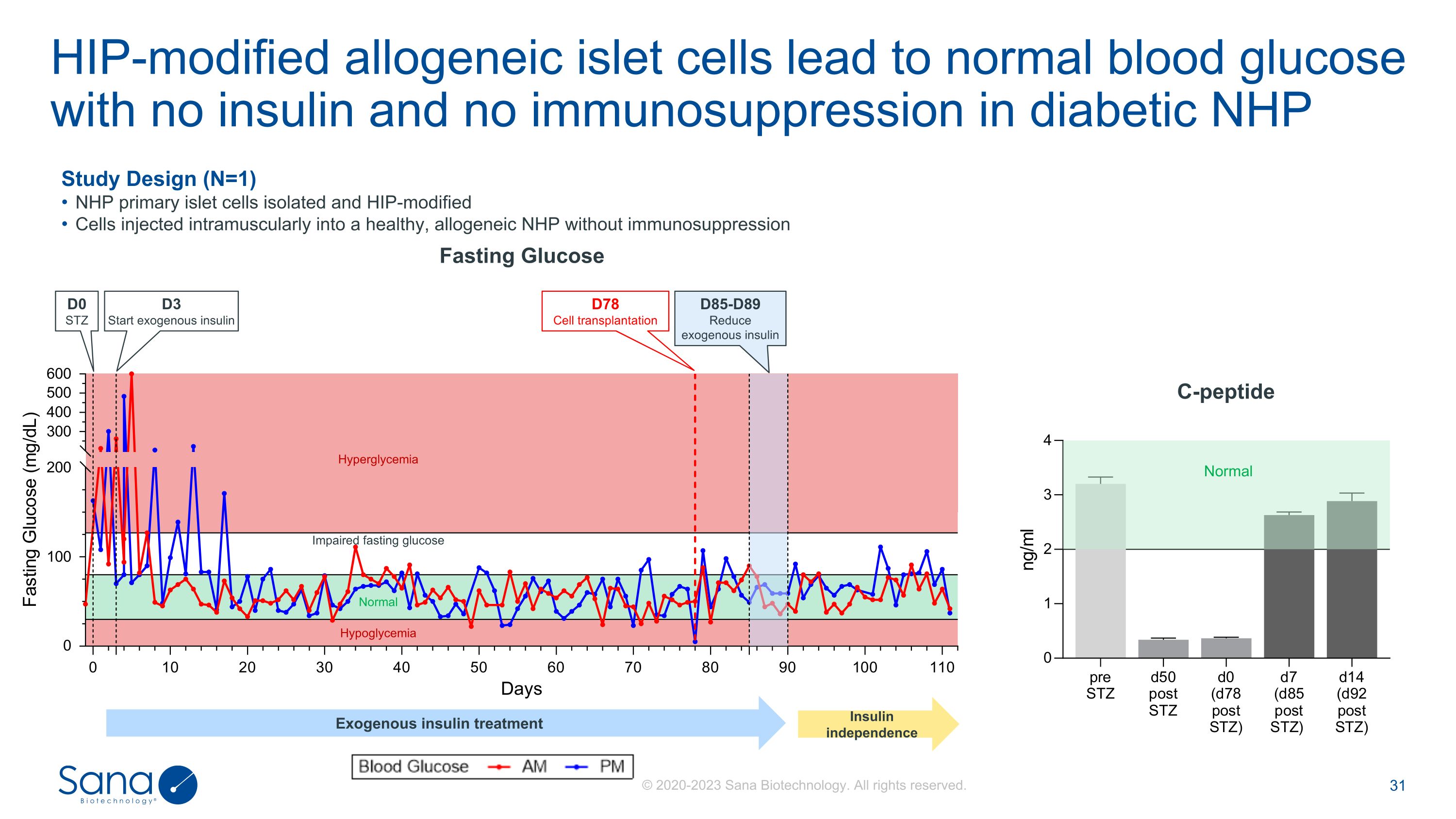 Slide 31