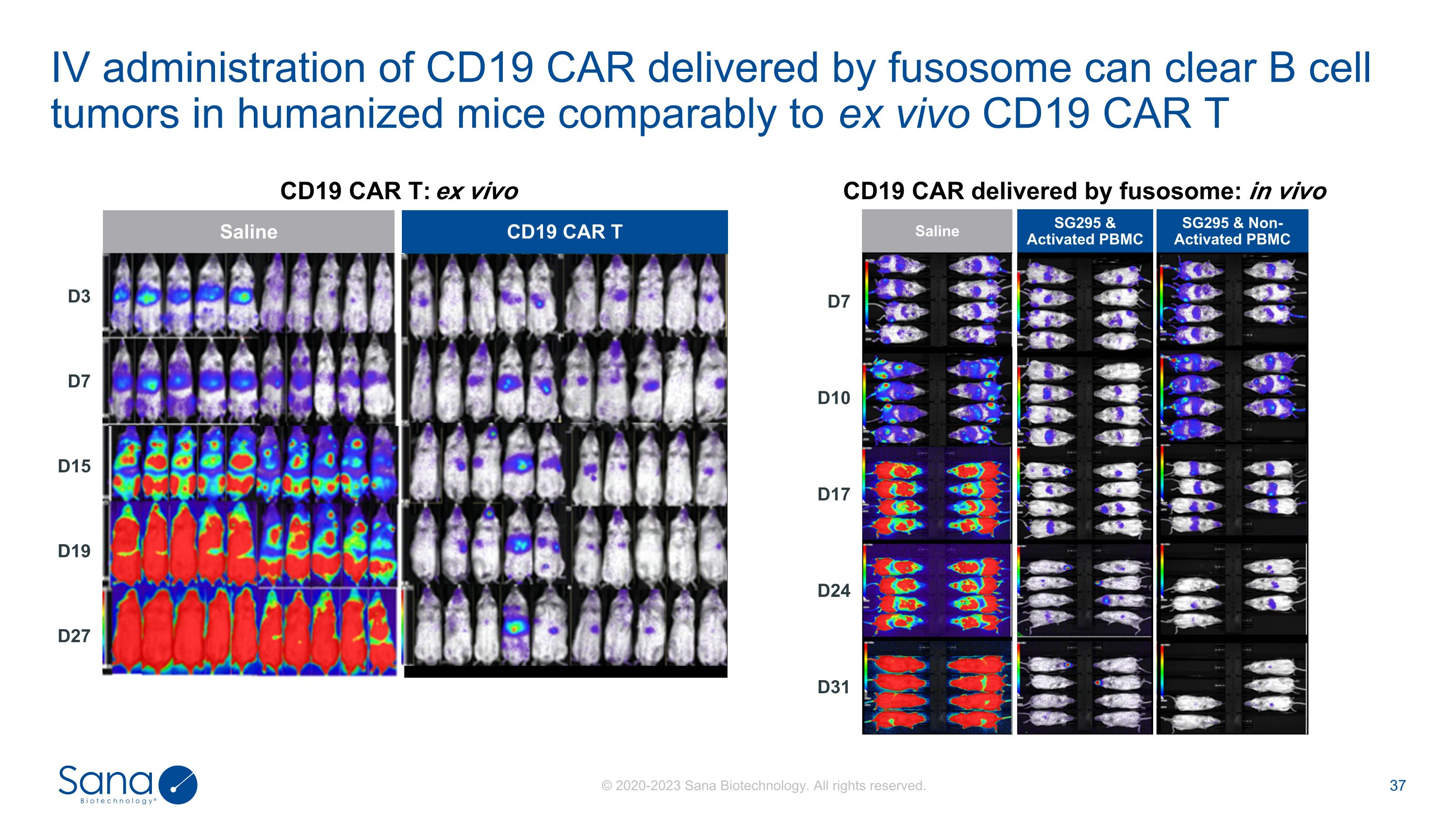 Slide 37