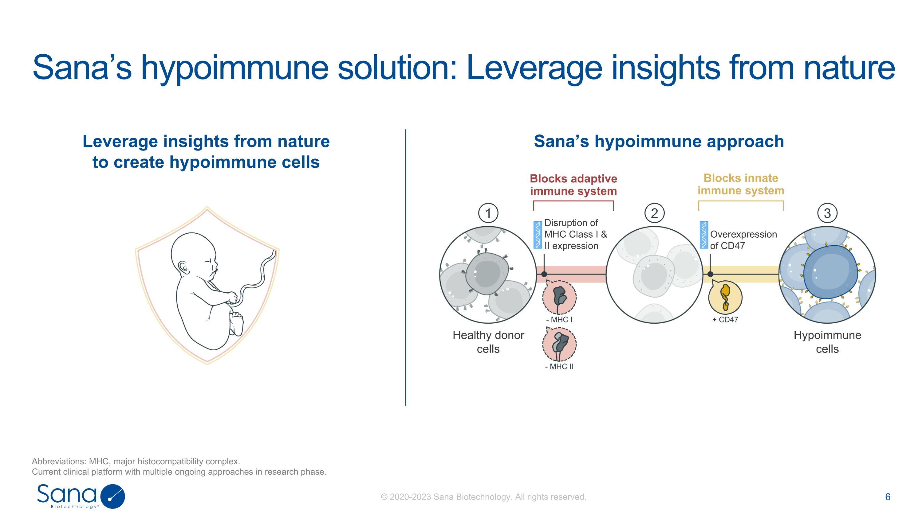 Slide 6