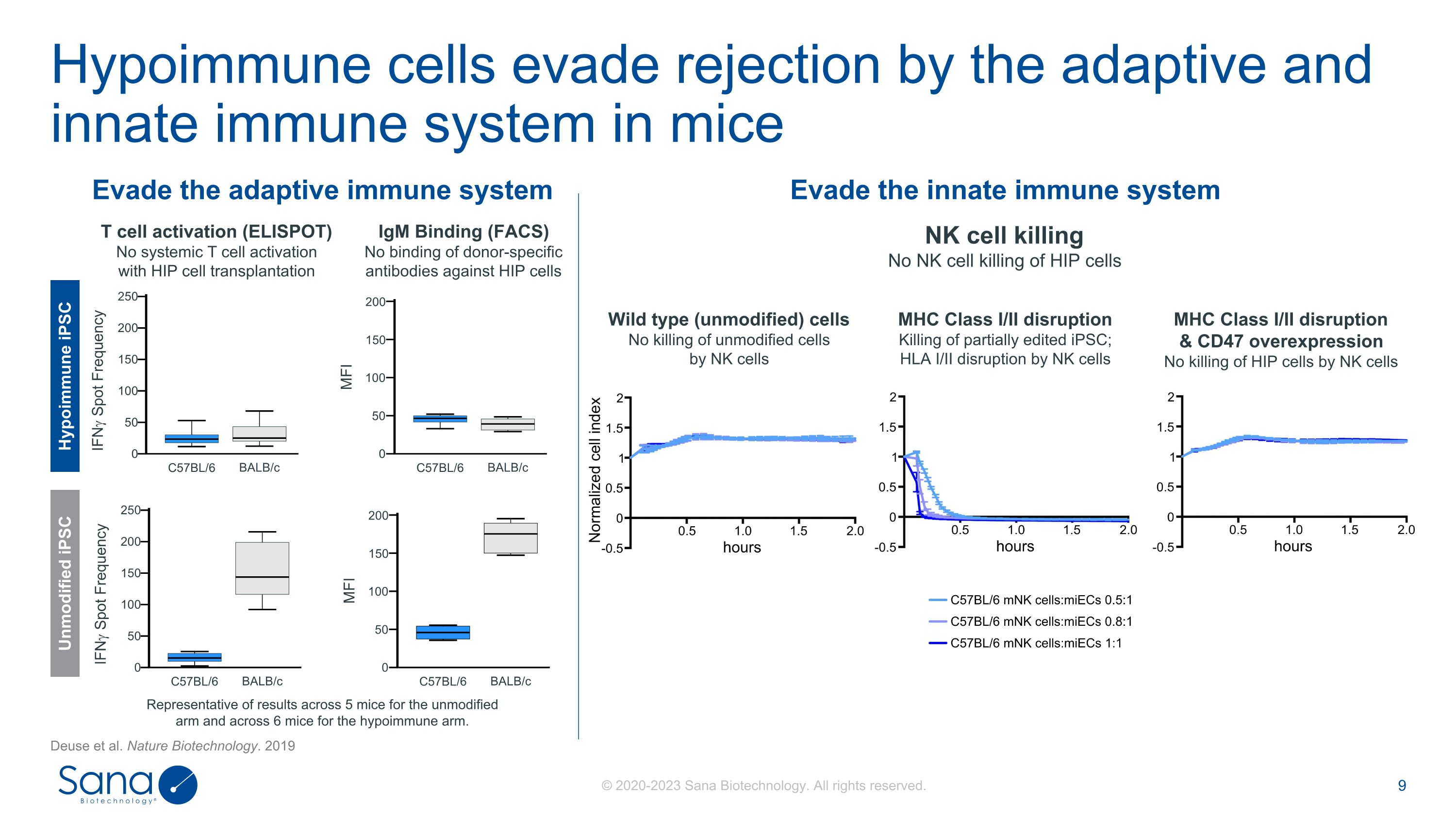 Slide 9