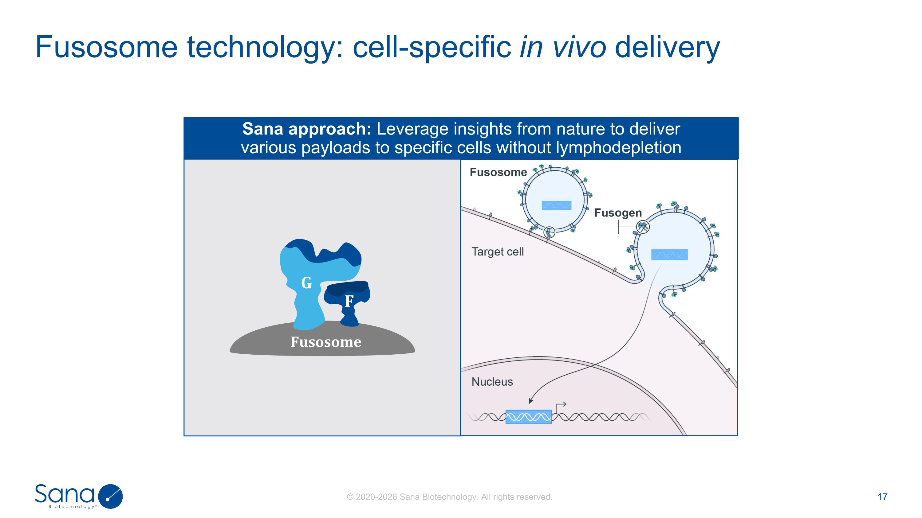 Slide 17