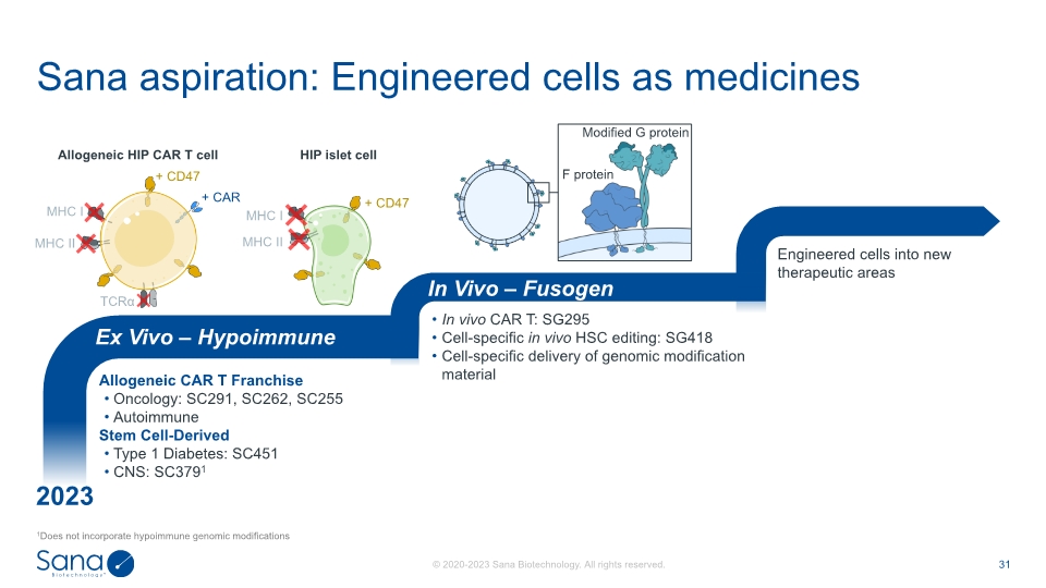 Slide 31