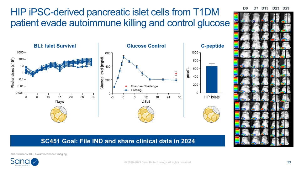Slide 23