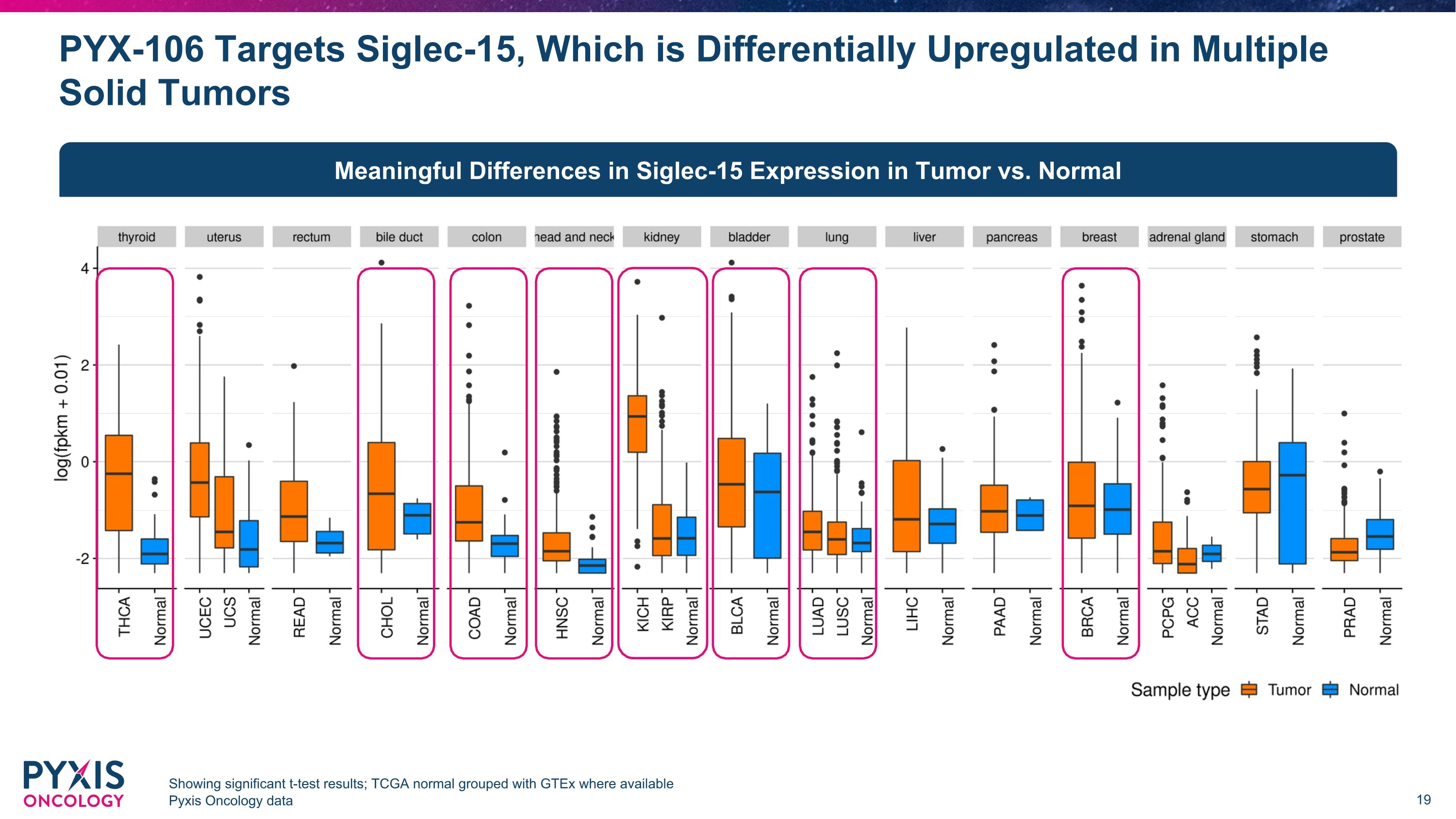 Slide 19