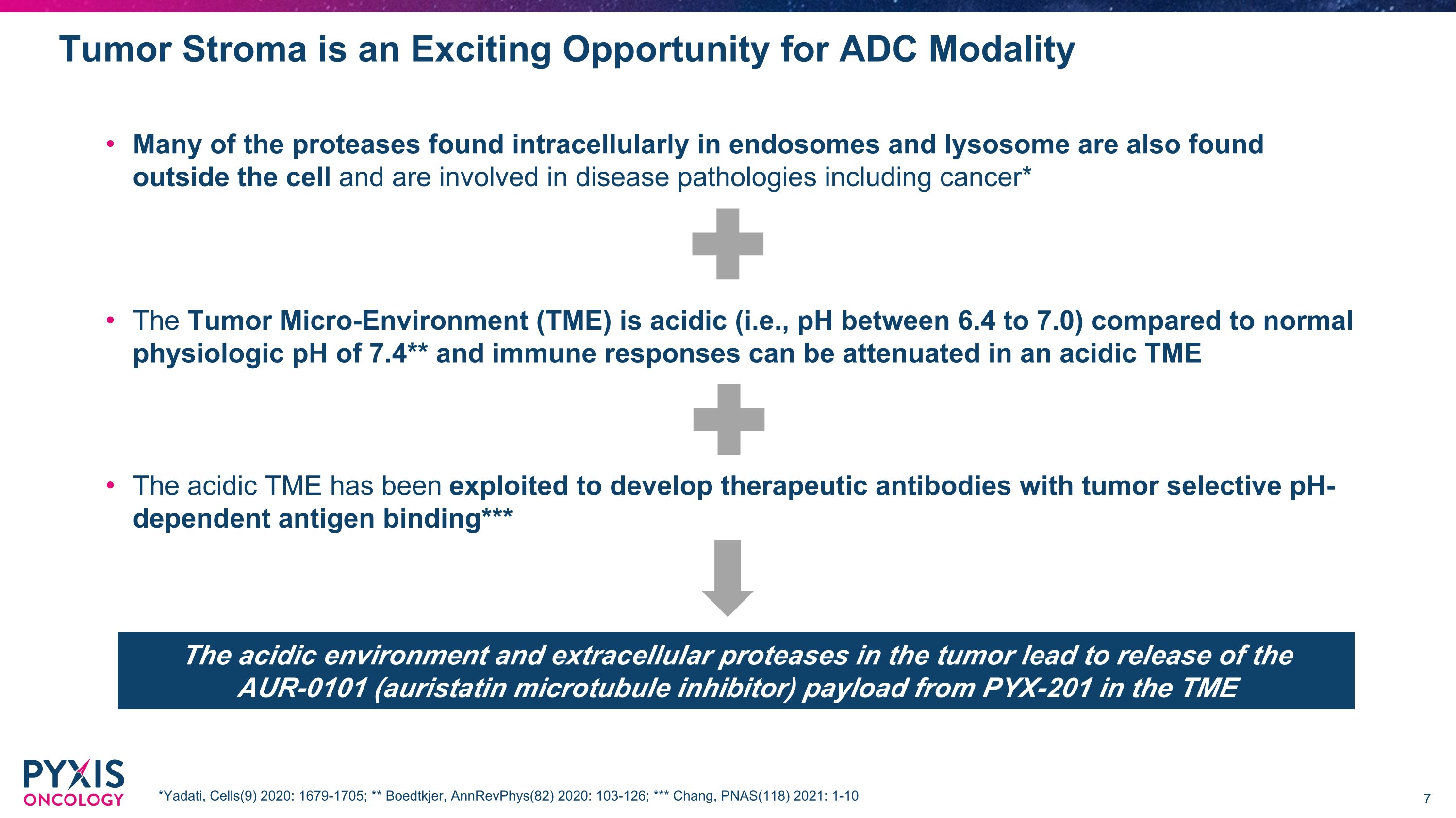 Slide 7
