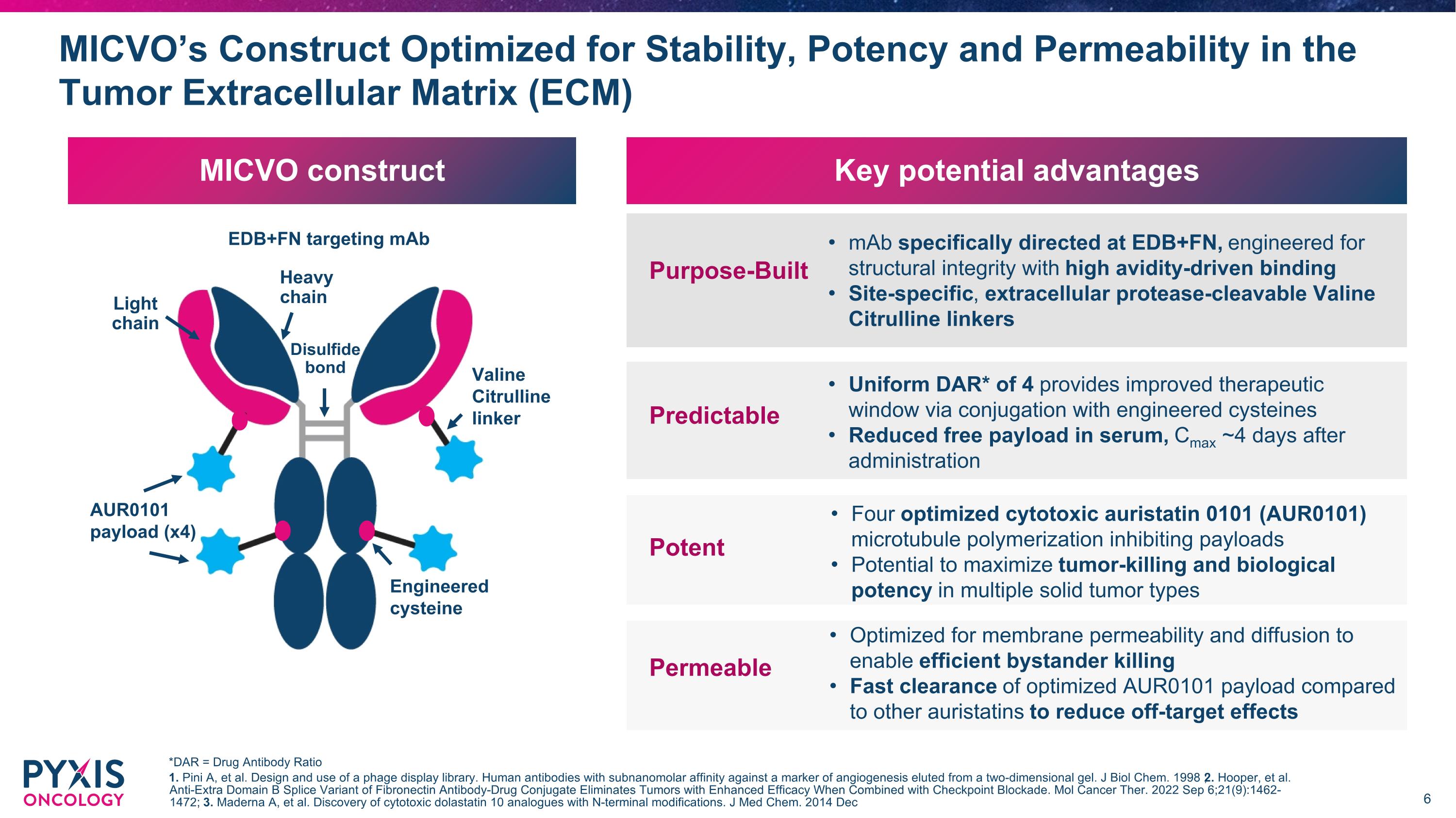 Slide 6