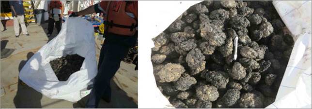 Macintosh HD:Users:robertheydon:Desktop:Annual Report Low Res Pics:Untitled-23.jpg