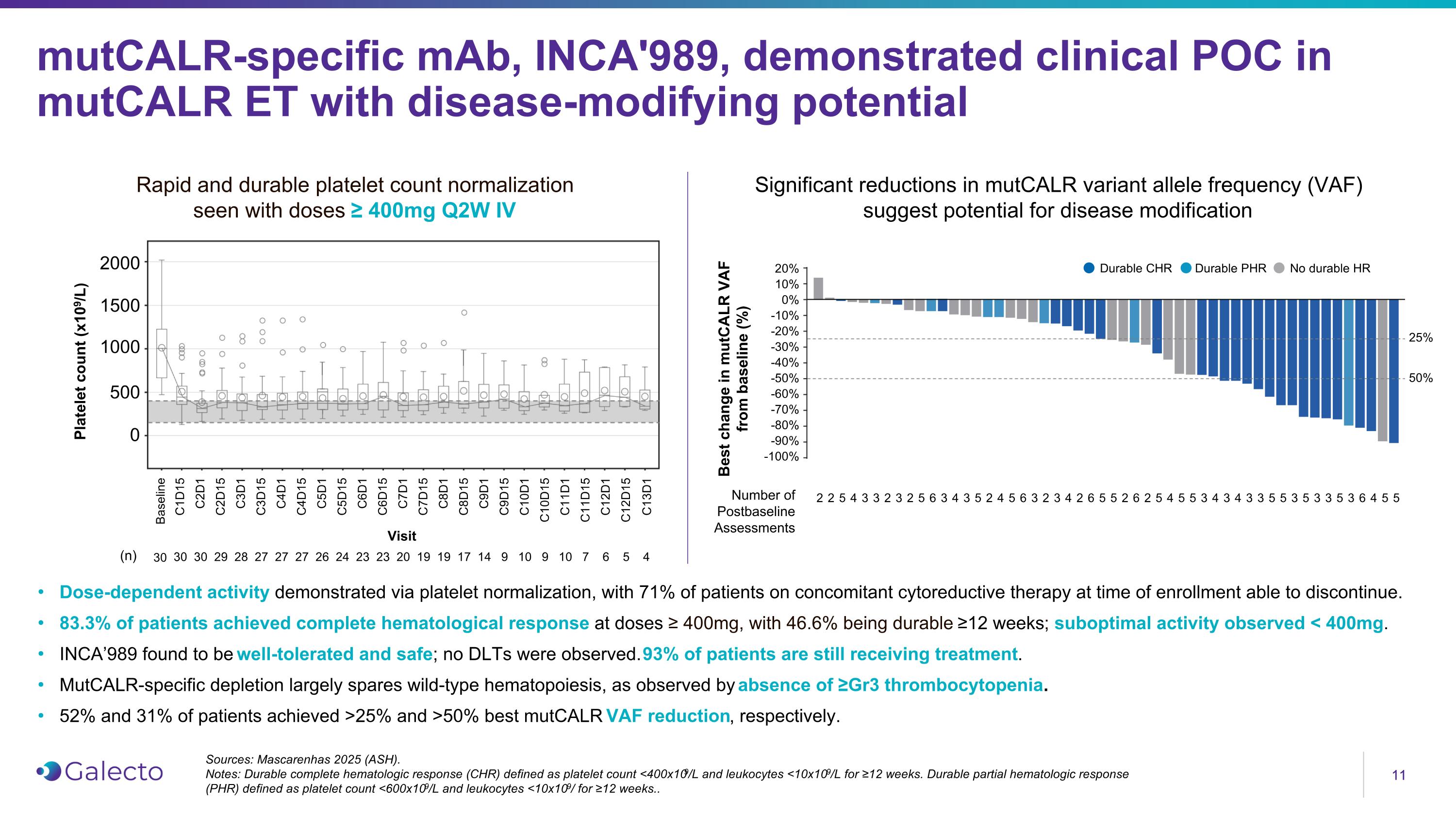 Slide 11