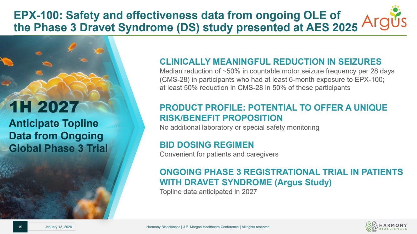 GRAPHIC