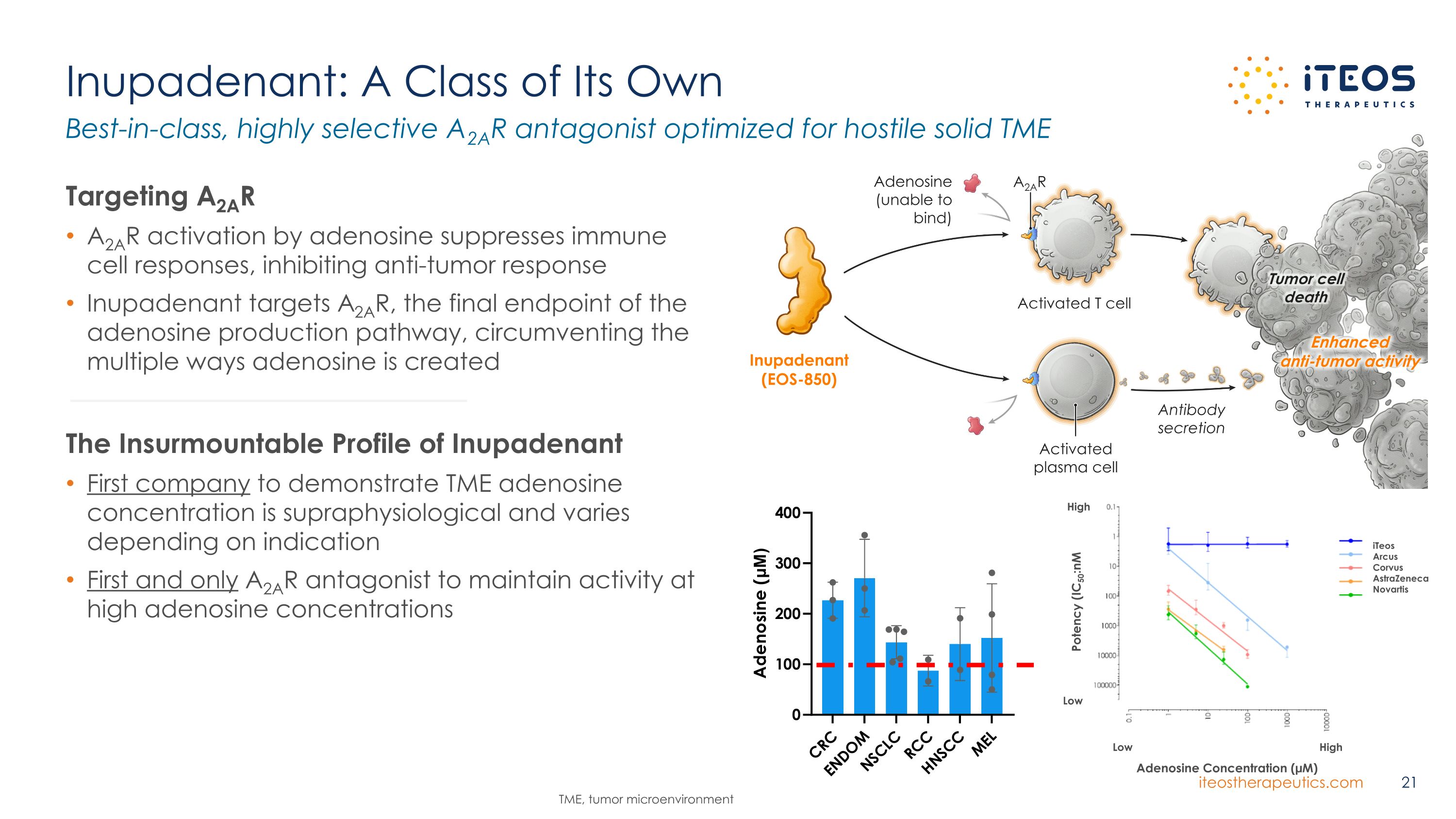 Slide 21