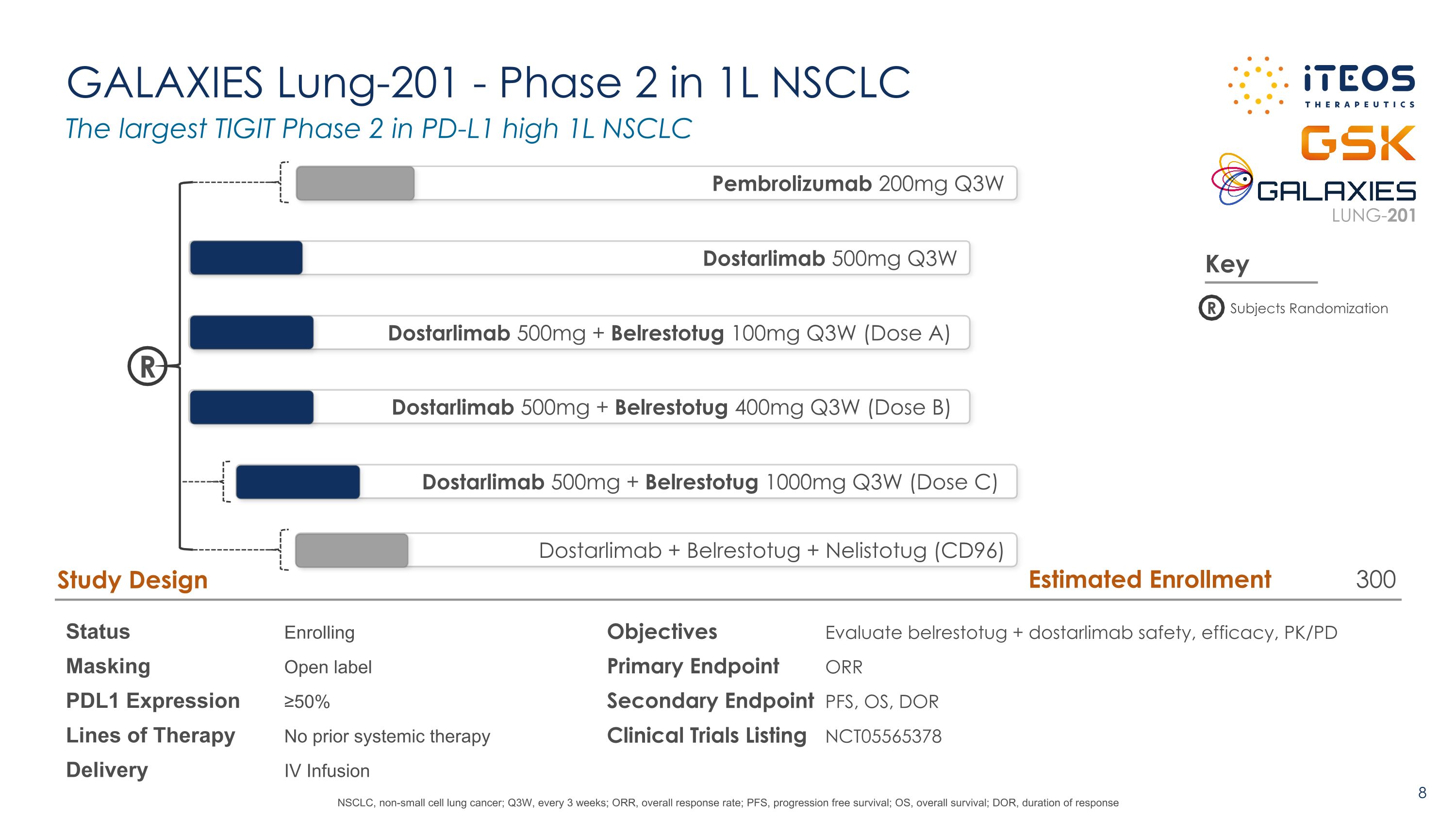 Slide 8