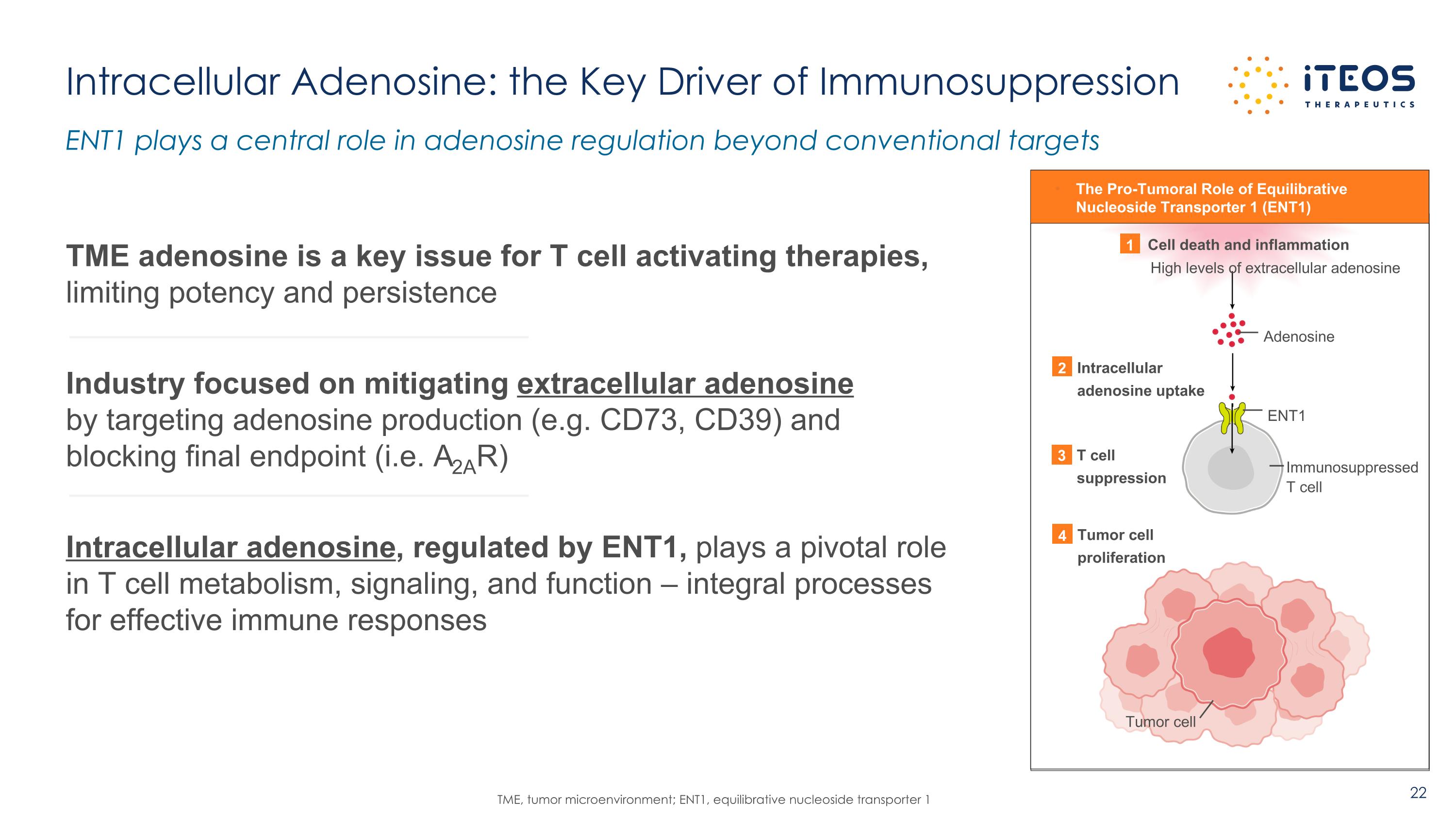 Slide 22
