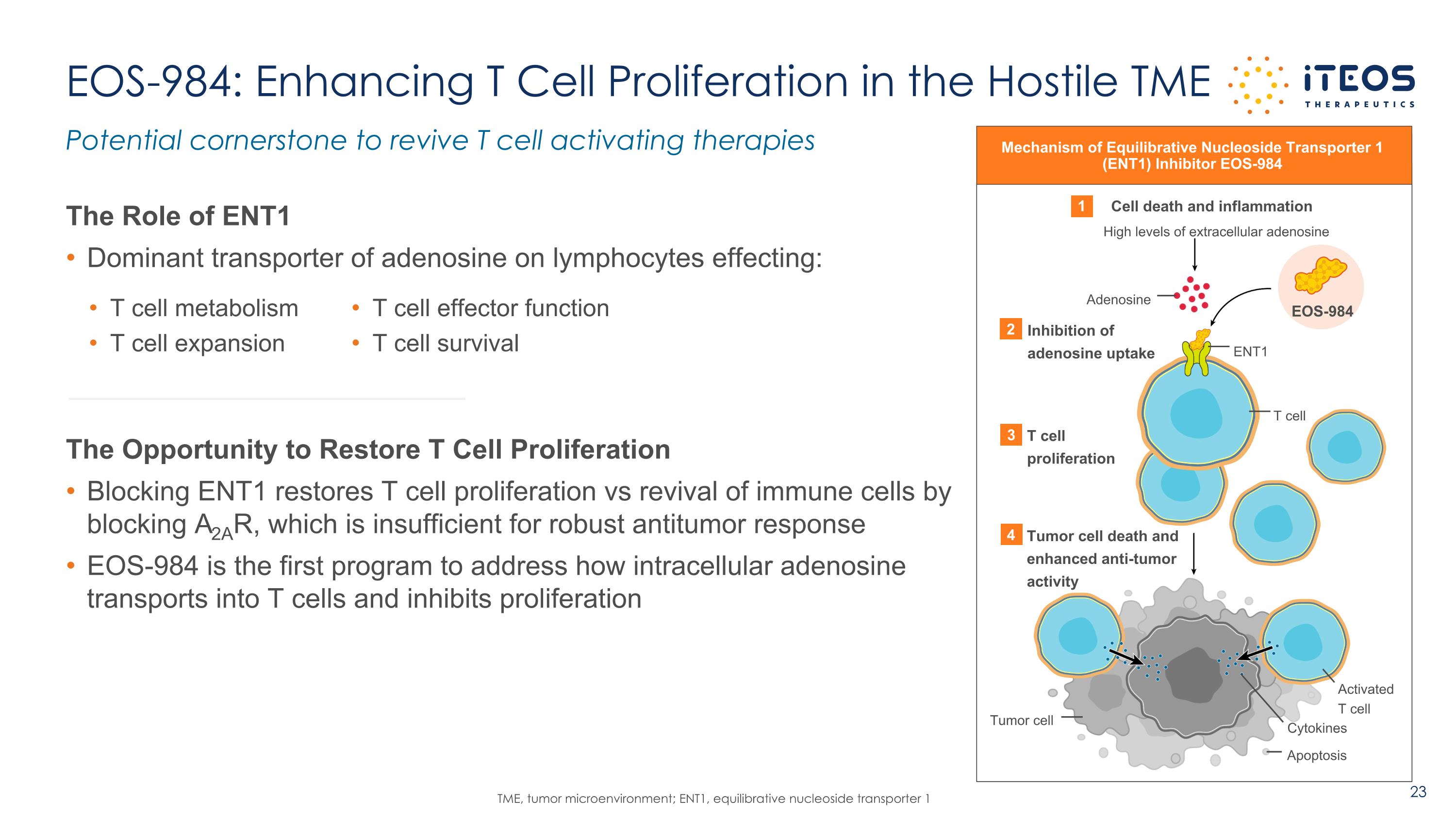 Slide 23