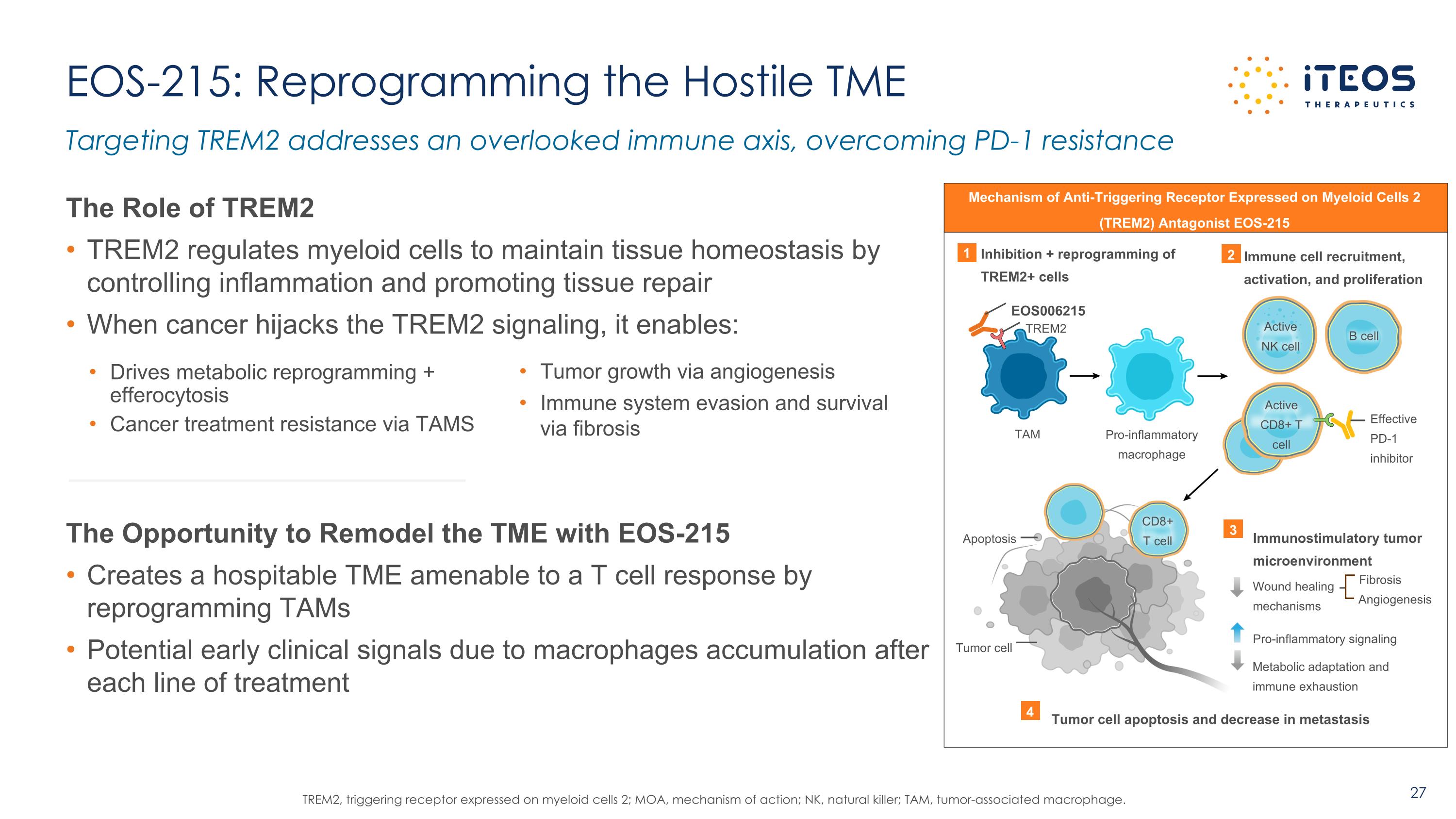 Slide 27