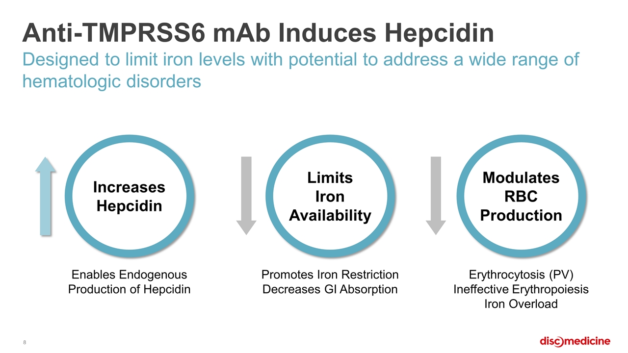 Slide 8