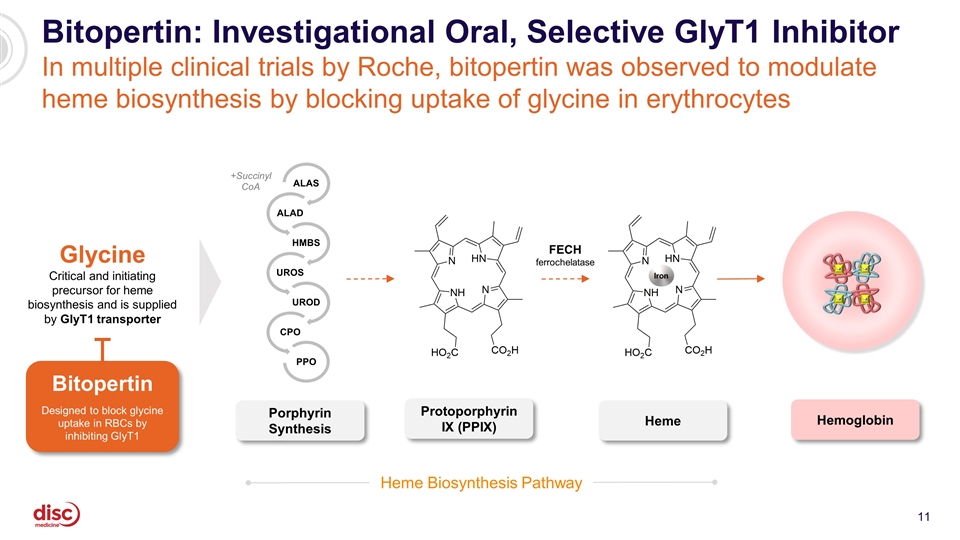 Slide 11