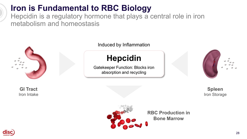 Slide 28