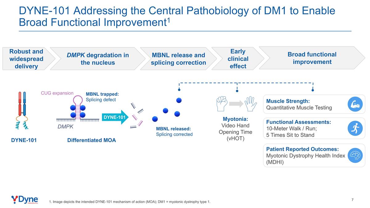 Slide 7