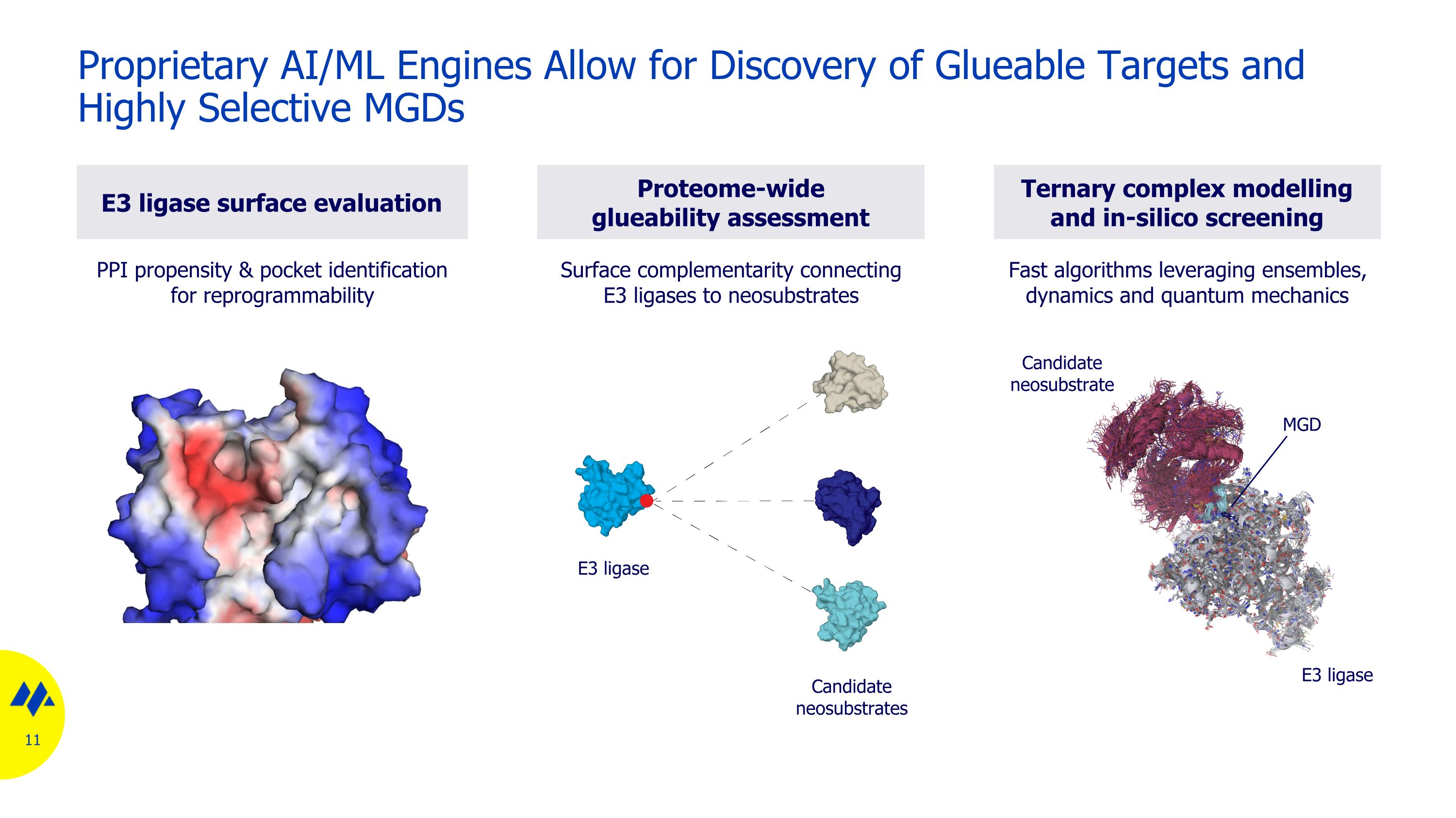 Slide 11