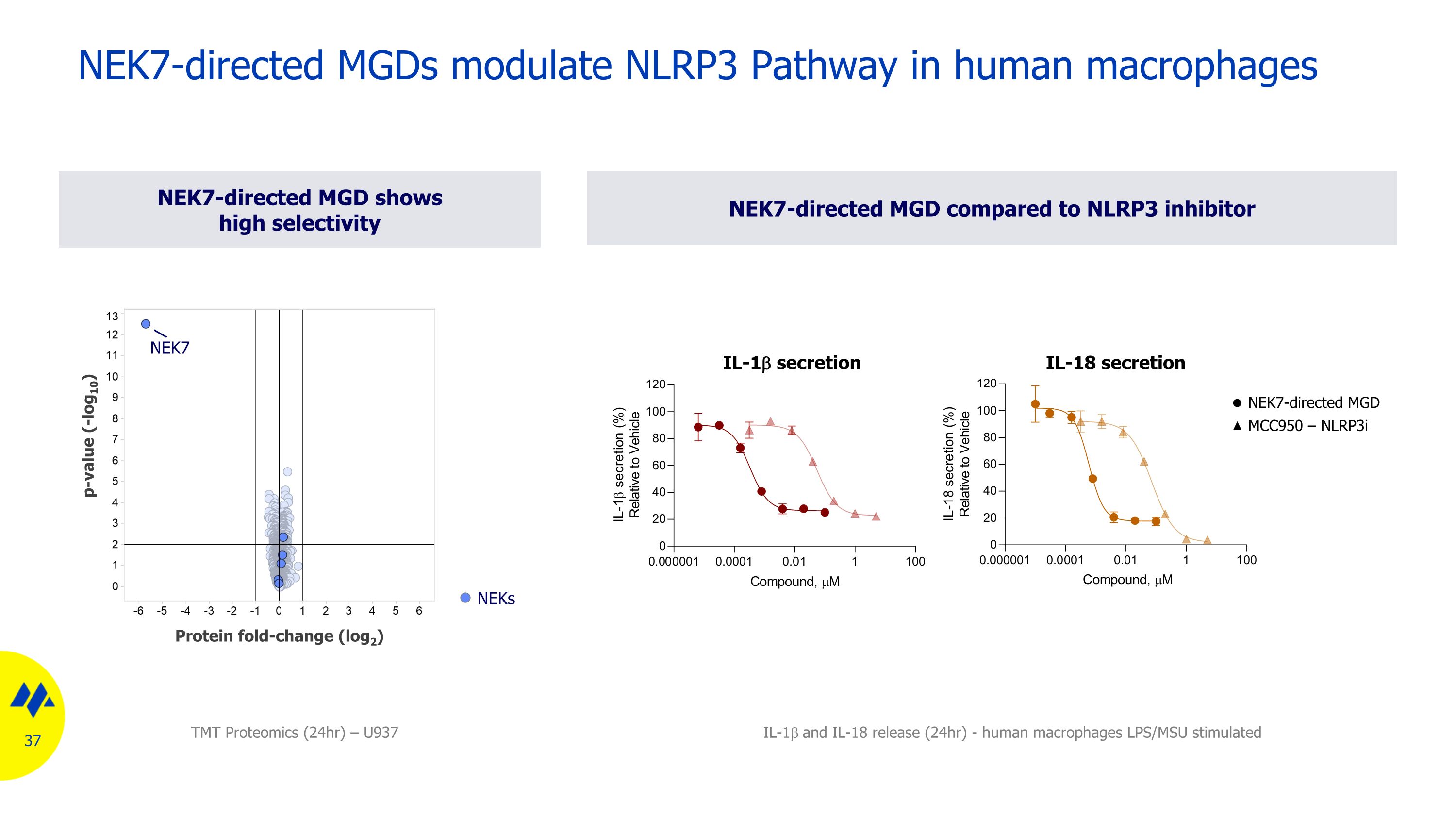 Slide 37