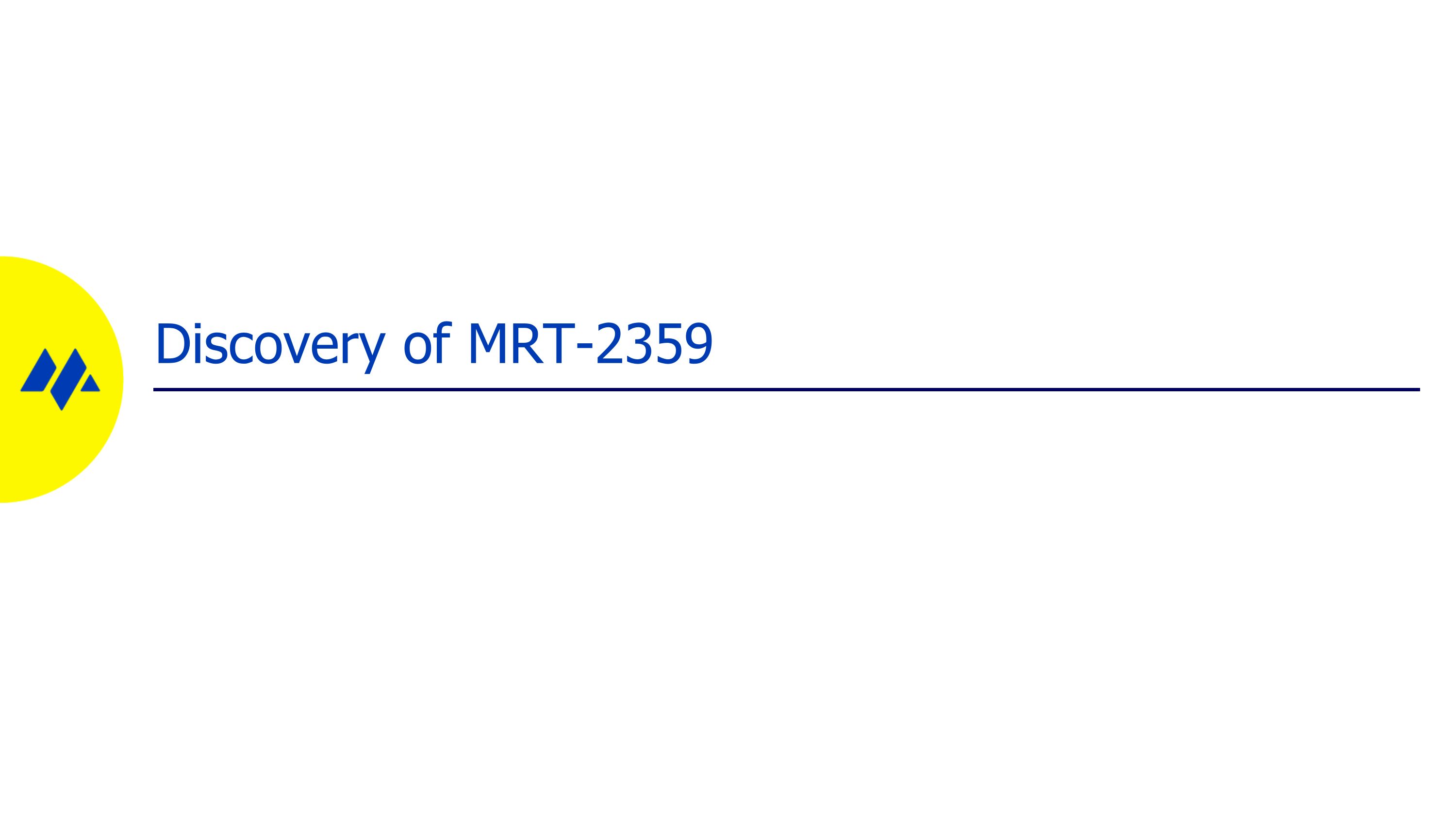Slide 12