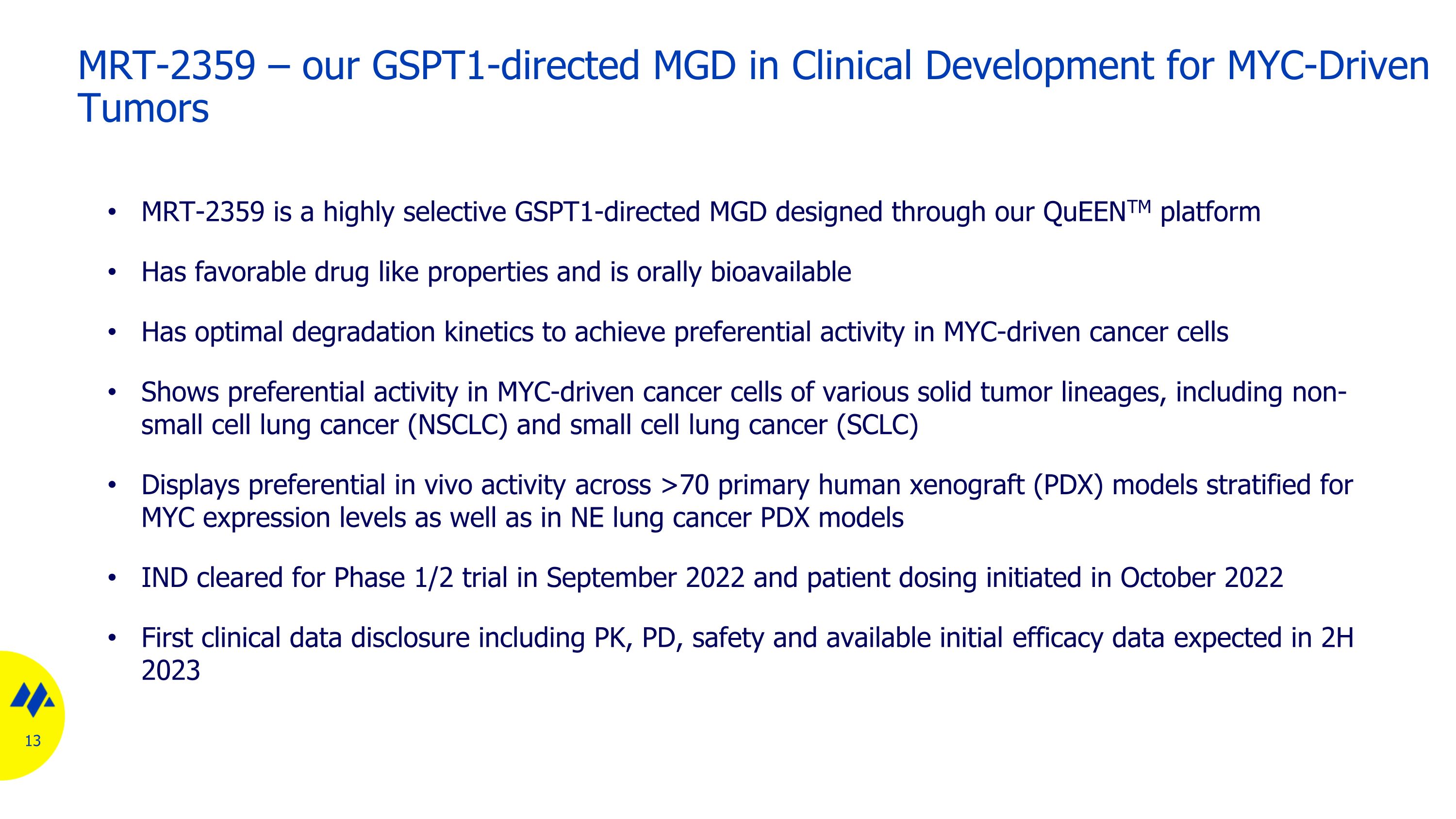 Slide 13