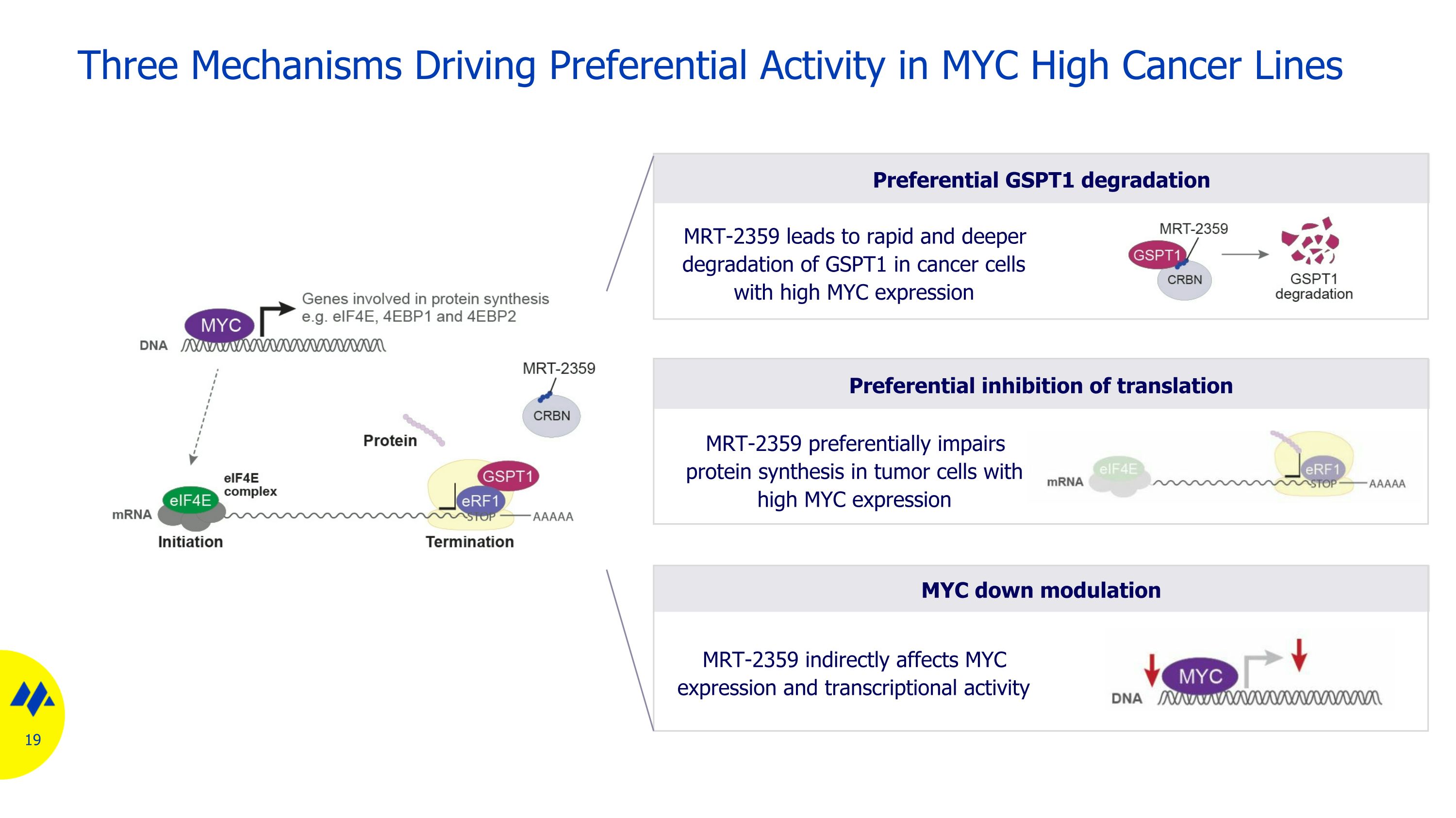 Slide 19