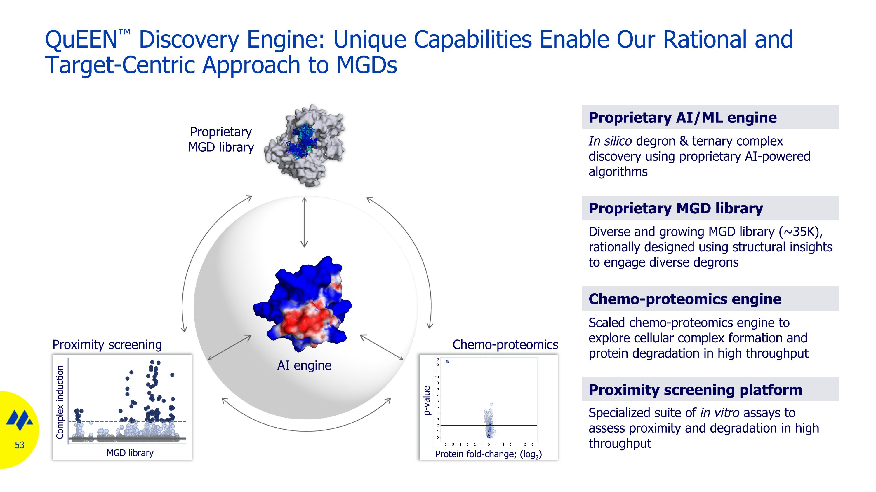 Slide 53