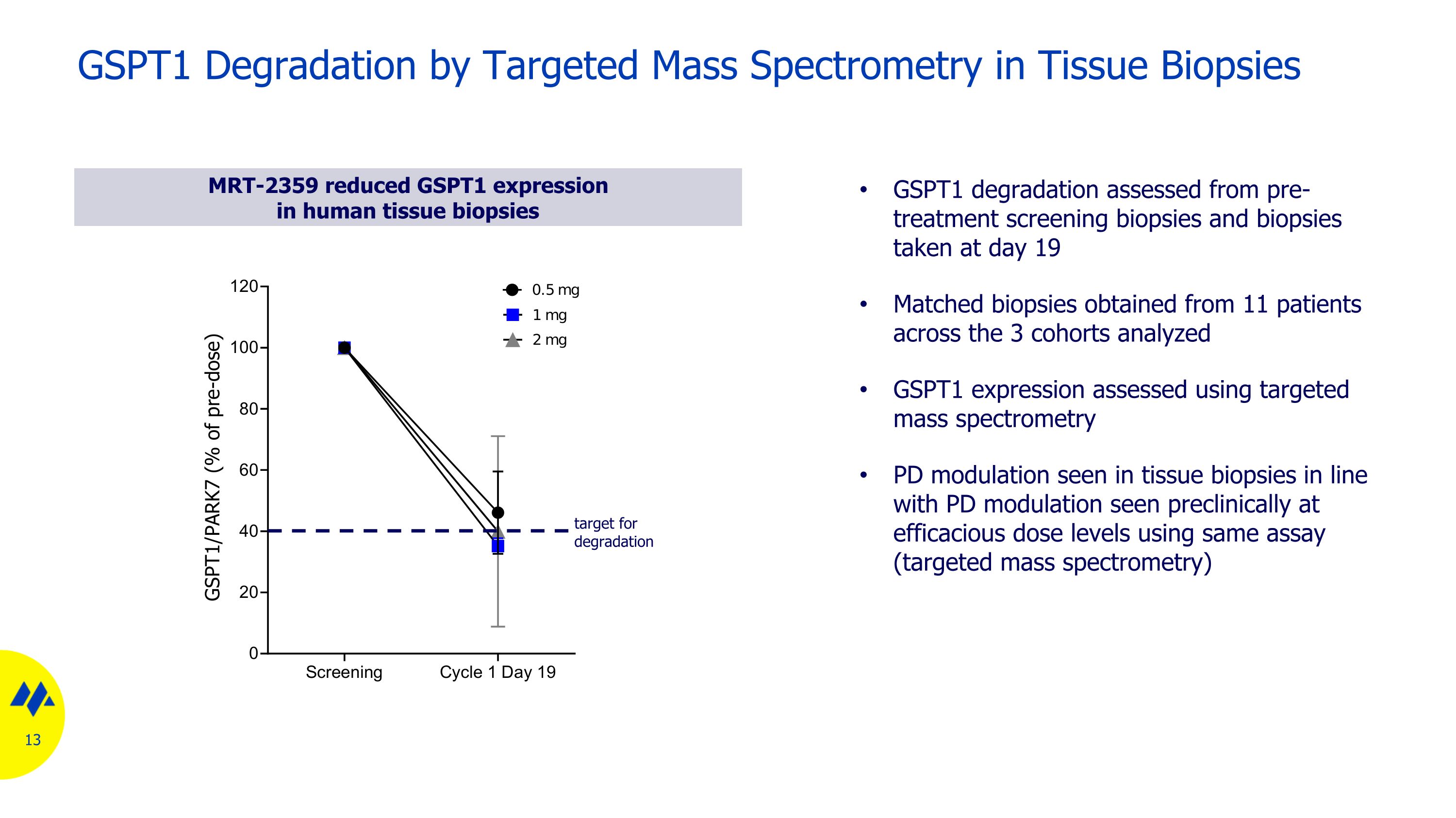 Slide 13