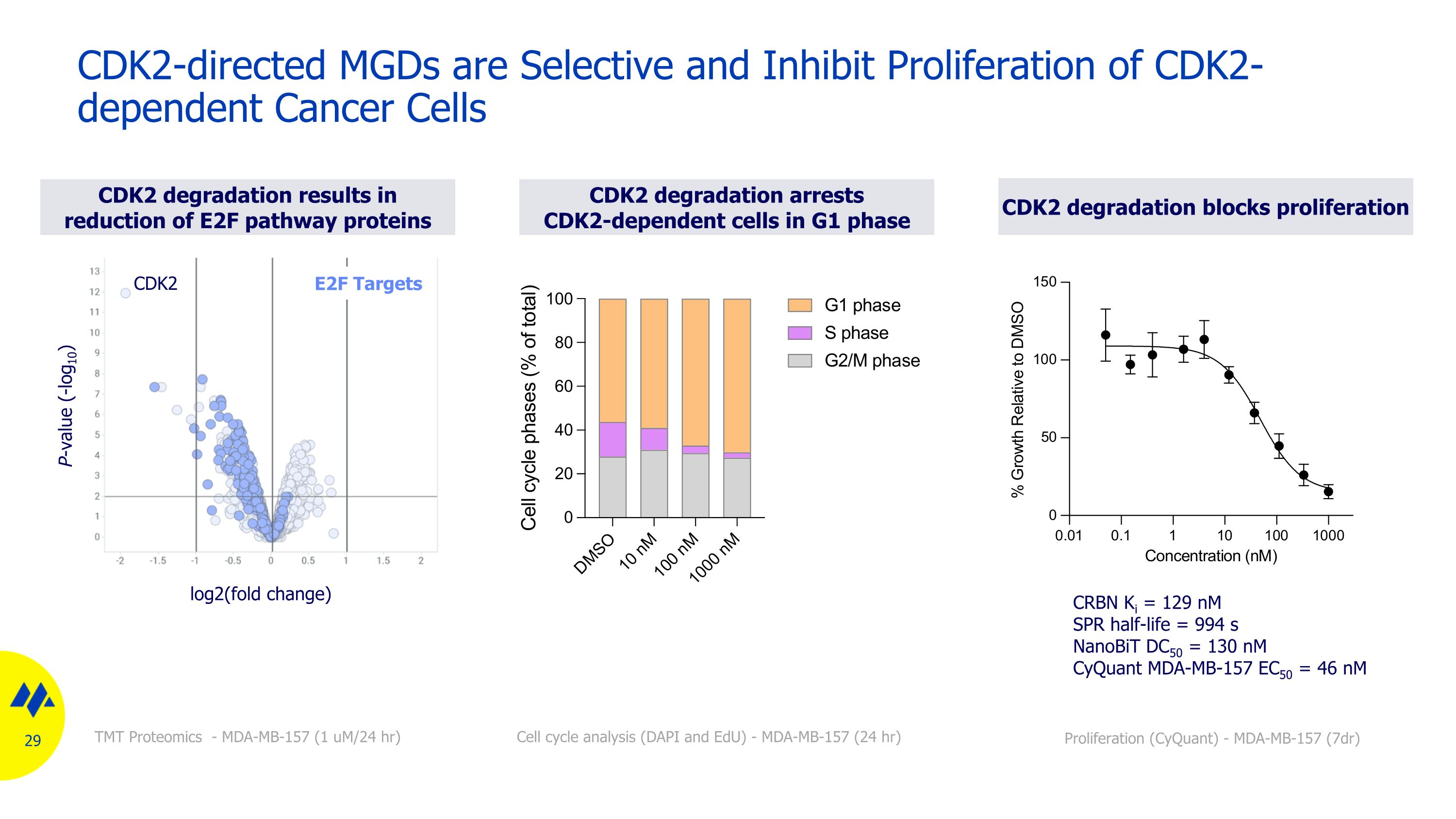 Slide 29