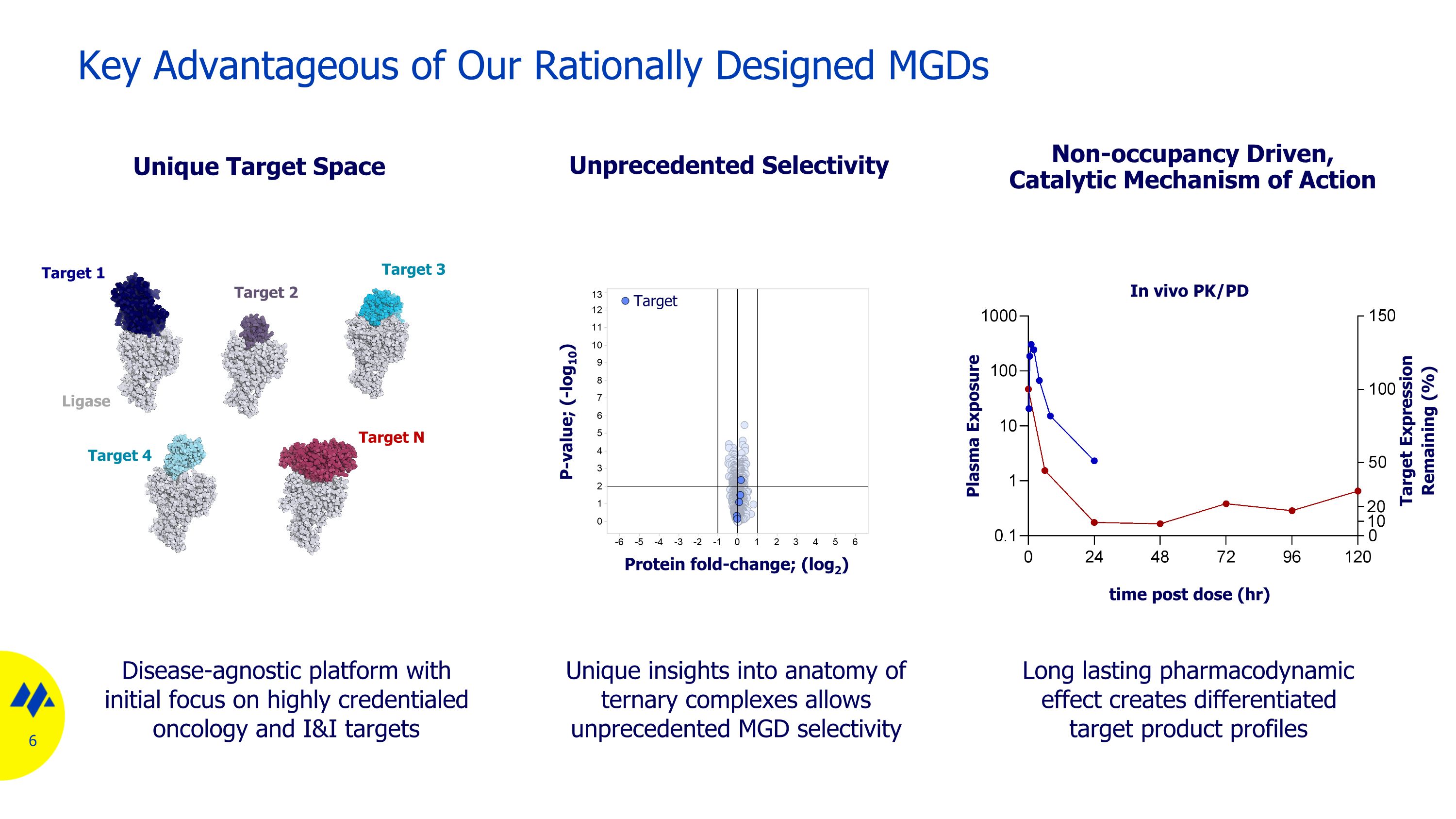 Slide 6