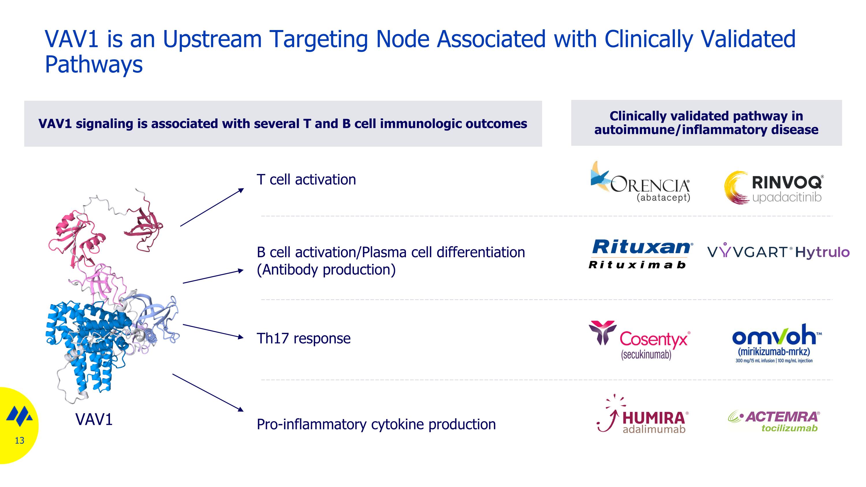 Slide 13