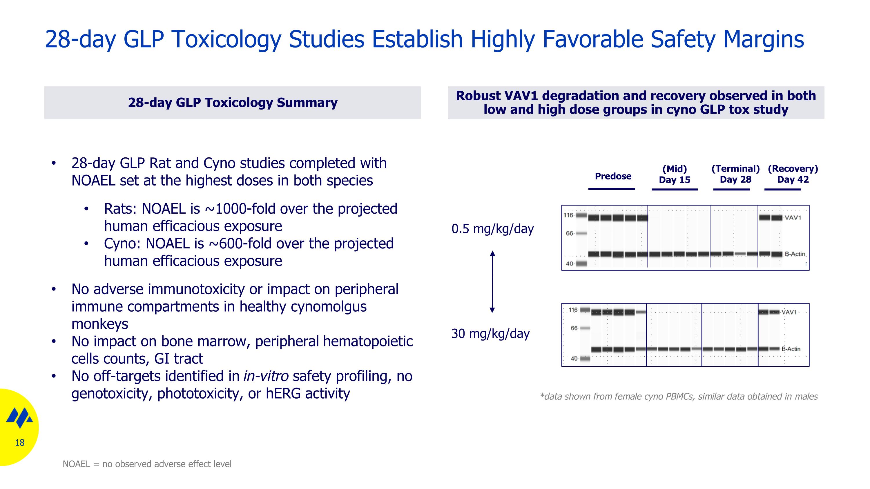 Slide 18