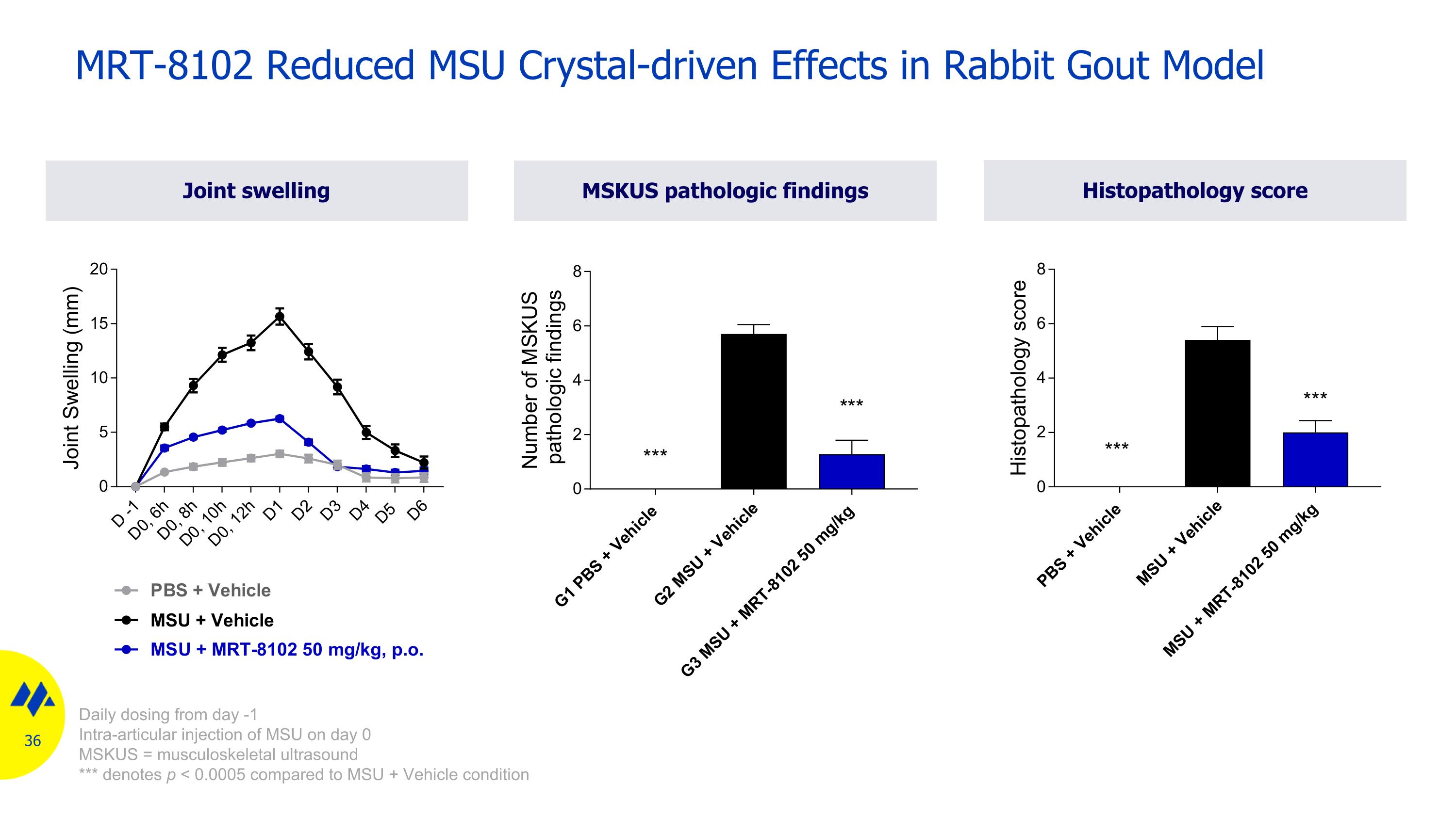Slide 36
