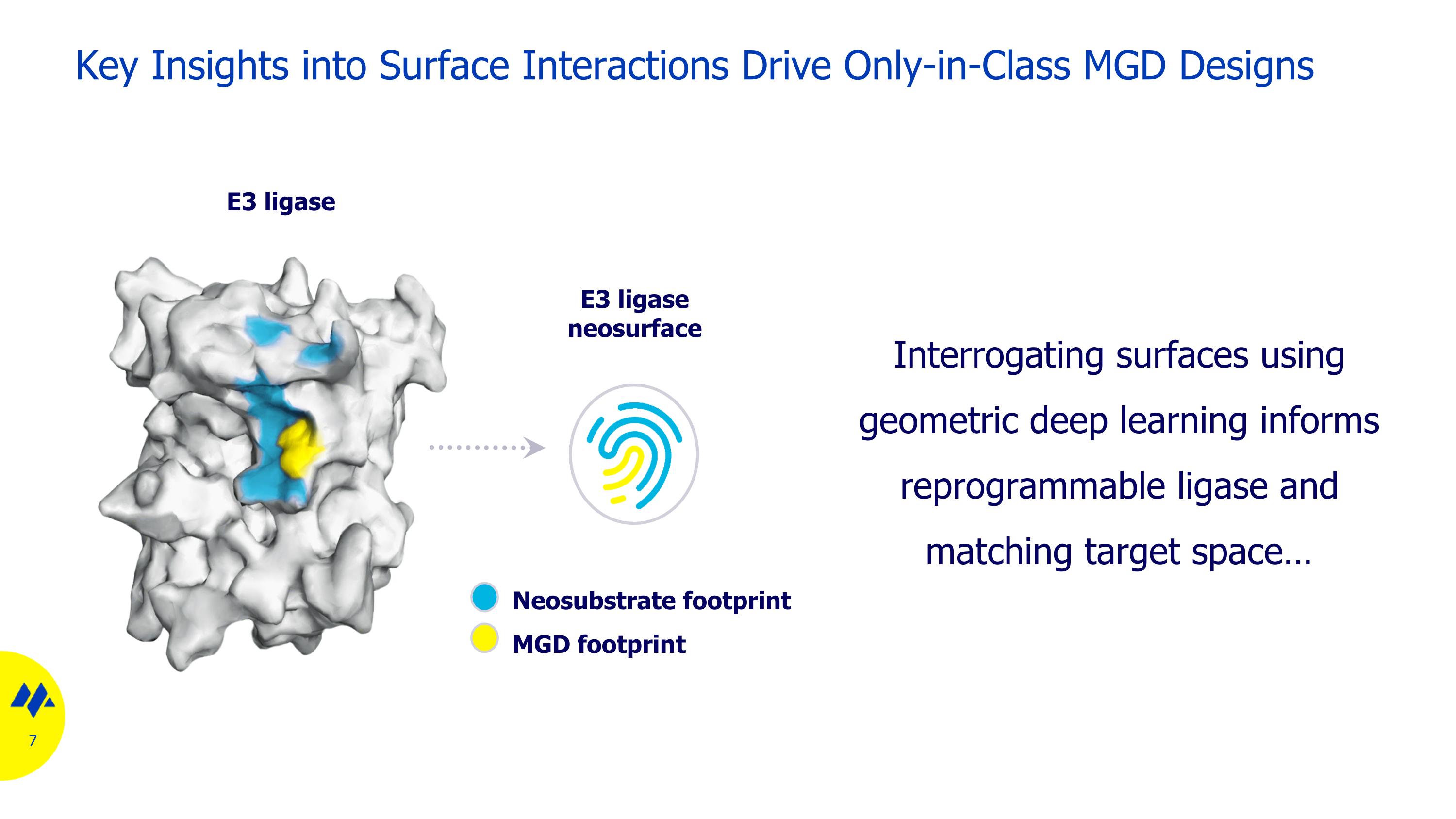 Slide 7