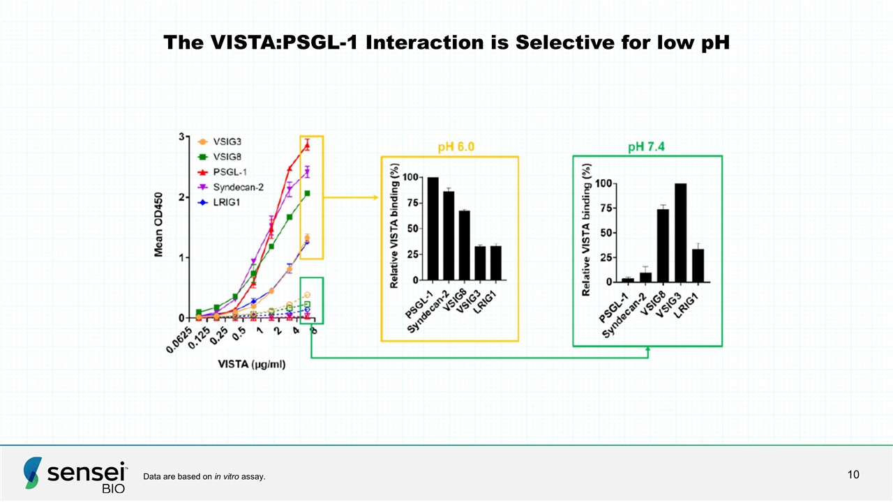 Slide 10