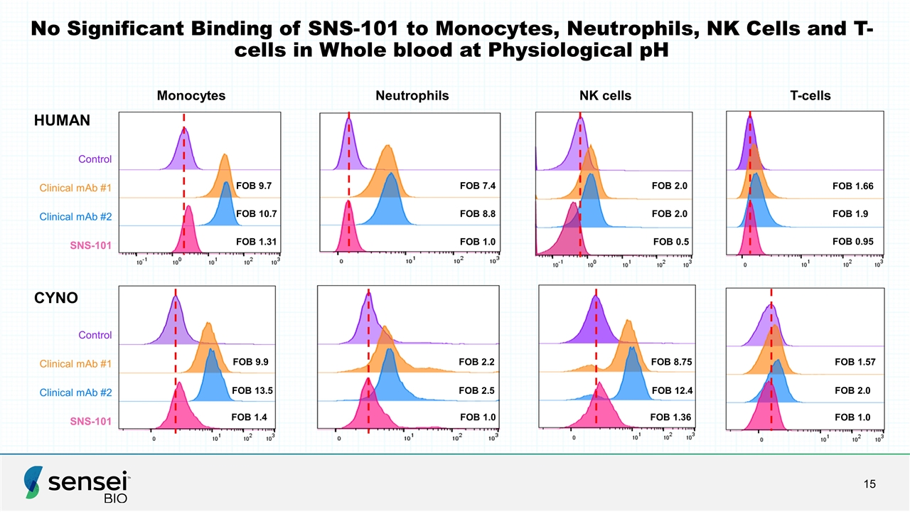 Slide 15