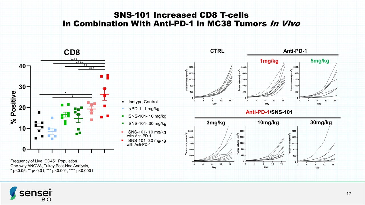 Slide 17