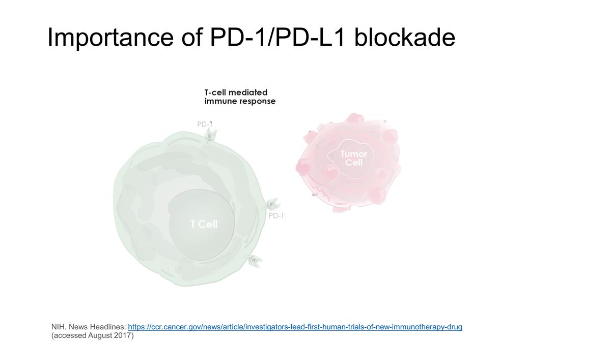 Slide 10