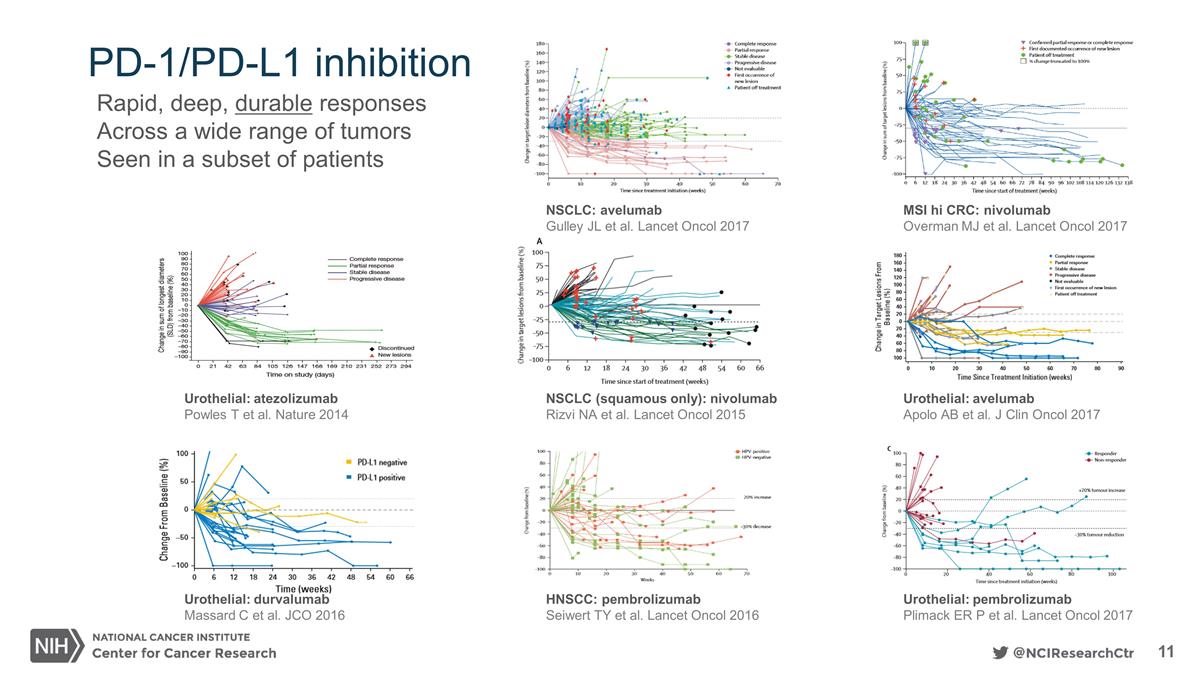 Slide 11