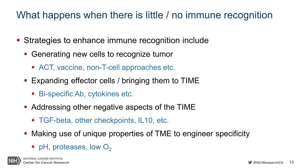 Slide 13