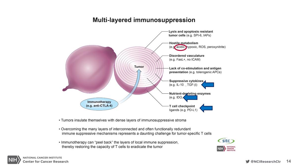 Slide 14