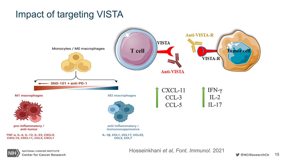 Slide 15