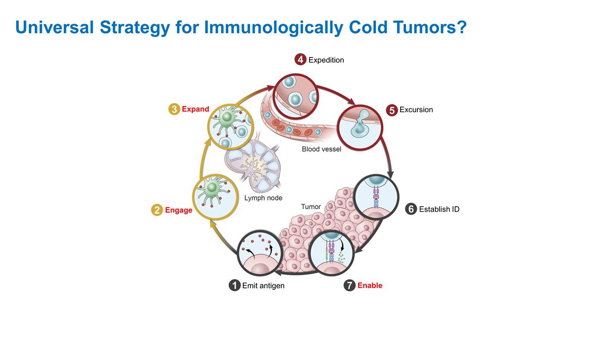 Slide 16