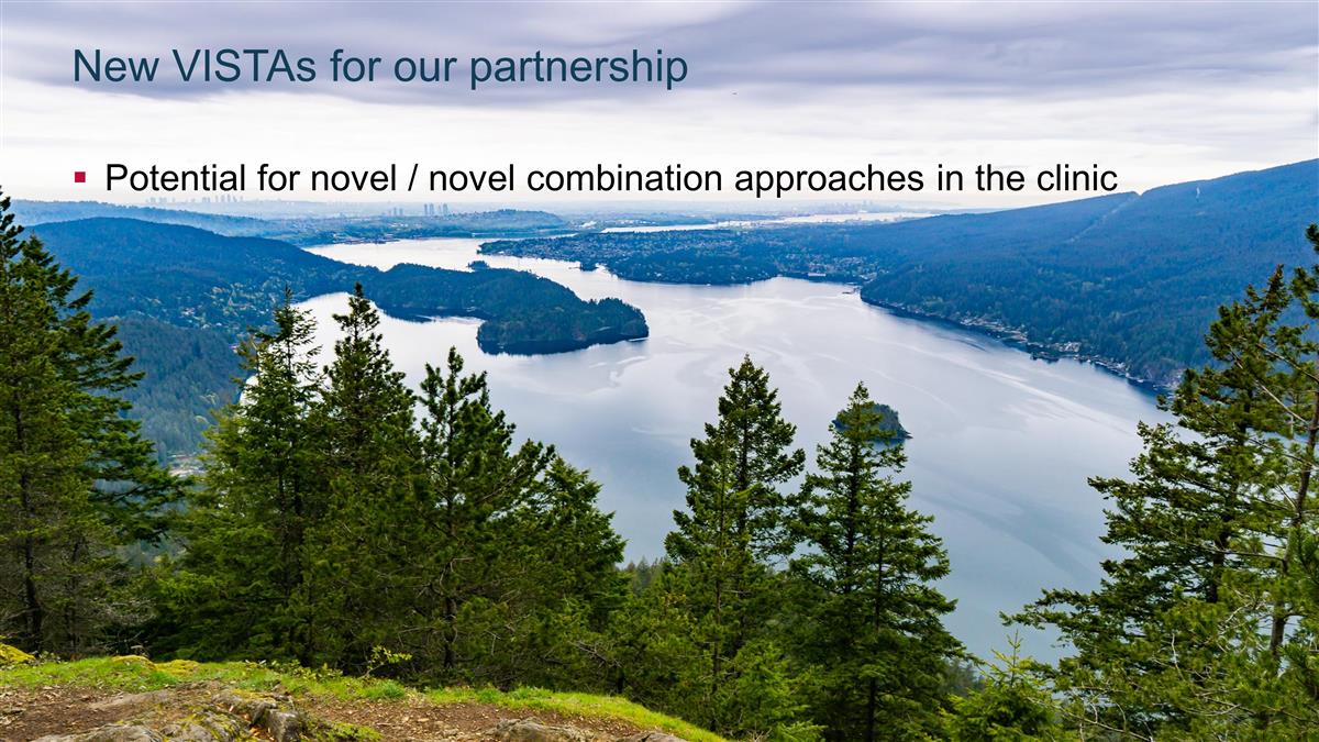 Slide 21