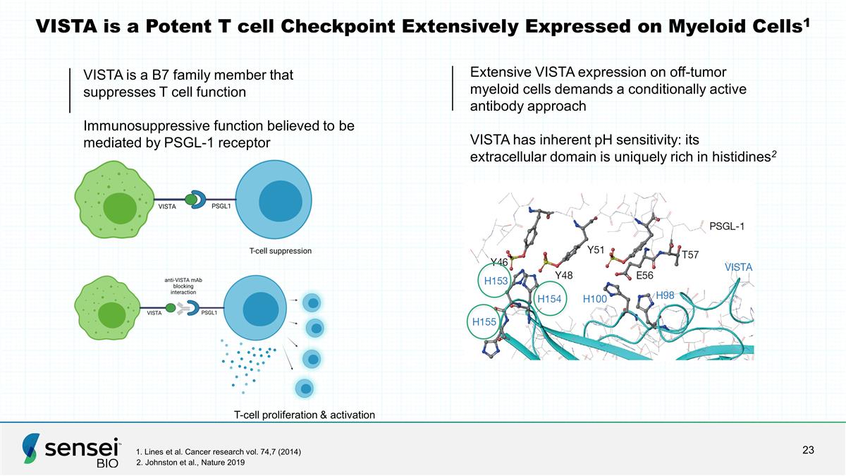 Slide 23