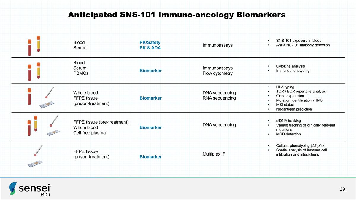 Slide 29