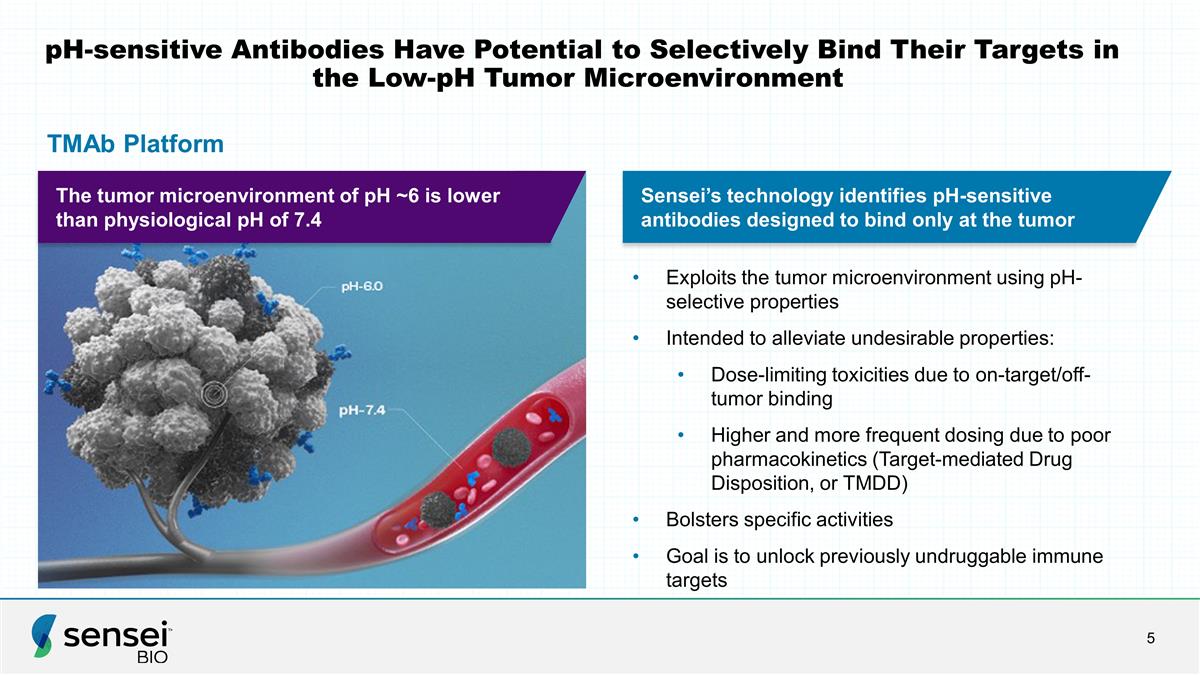 Slide 5