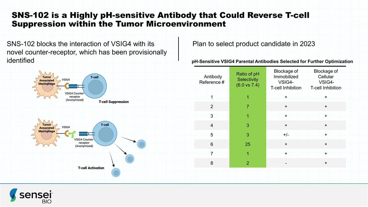 Slide 21