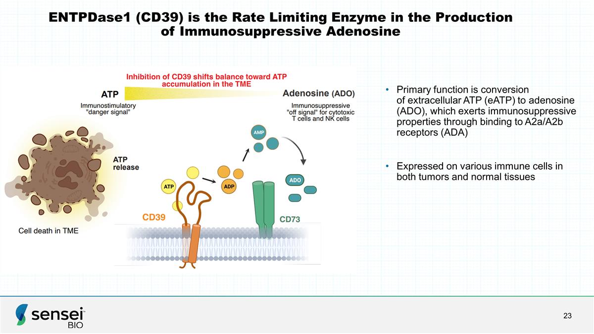 Slide 23